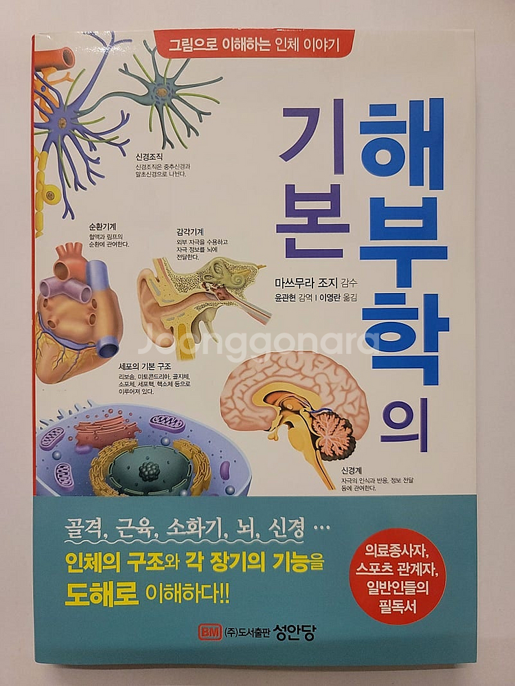 소년소녀세계동화명작전집. 블랙 스완 로버트 브라우닝 시...--6