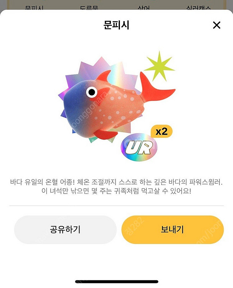 틱톡 라이트 문피시 팔아요!!!--0