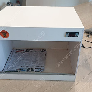 육지거북 파충류 2자 사육장 포맥스