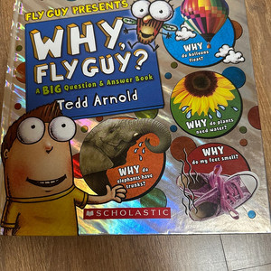 Fly Guy 영어 원서 Why?