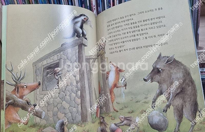 아가월드 세계의 그림책 92권 페이퍼북-택포--3