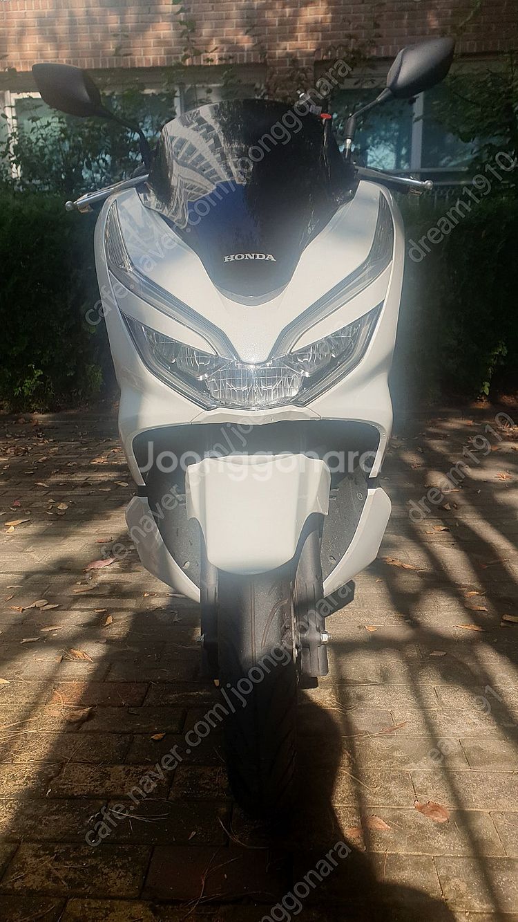 PCX 125 흰색 팝니다 (2020년식) // 가격조...--1