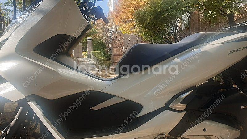 PCX 125 흰색 팝니다 (2020년식) // 가격조...--4