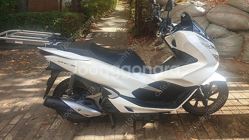 PCX 125 흰색 팝니다 (2020년식) // 가격조...--7