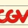 CGV 2D 1매당 8000원 / 4DX,IMAX 특별관 문의