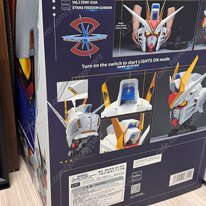 BN head 스트라이크프리덤