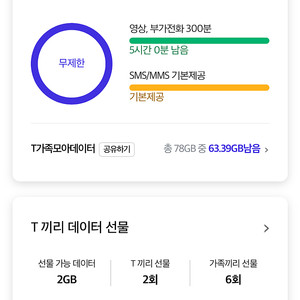 sk데이터 2기가 판매