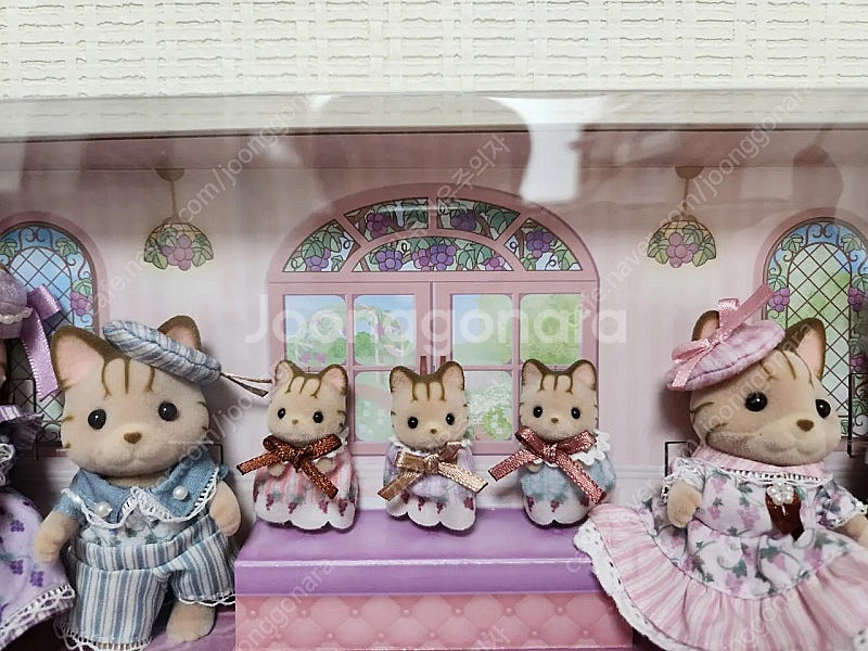 실바니안 엘레강스 줄무늬 고양이 대가족--4