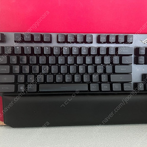 아수스 rx tkl 적축 키보드 + pbt 키캡