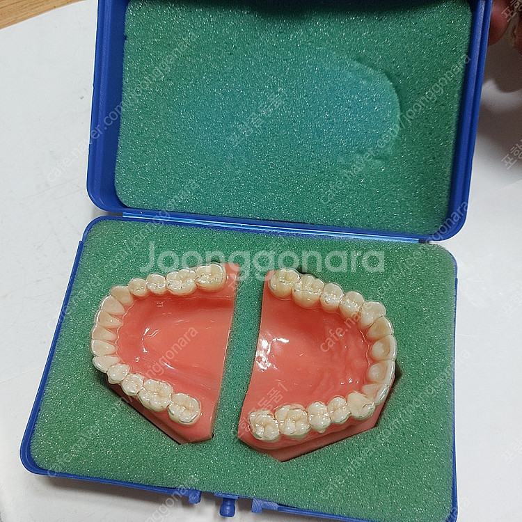 치과기구ㆍ모형틀 2종--3