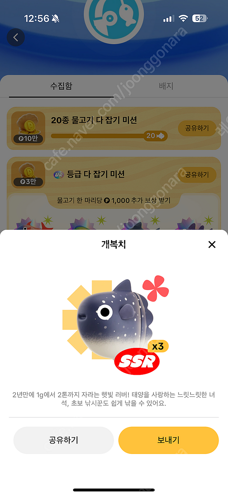 틱톡라이트 낚시 개복치 판매합니다--0