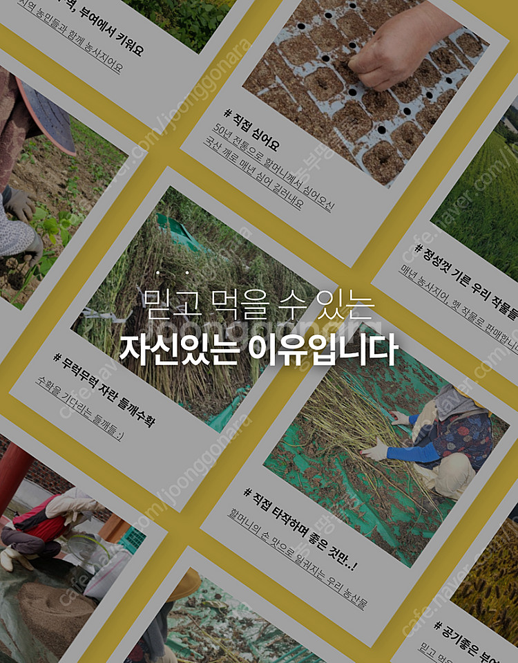 국산 들기름 참기름 판매합니다--5