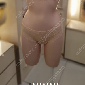 에블린 레이스 브라팬티 80B 새상품