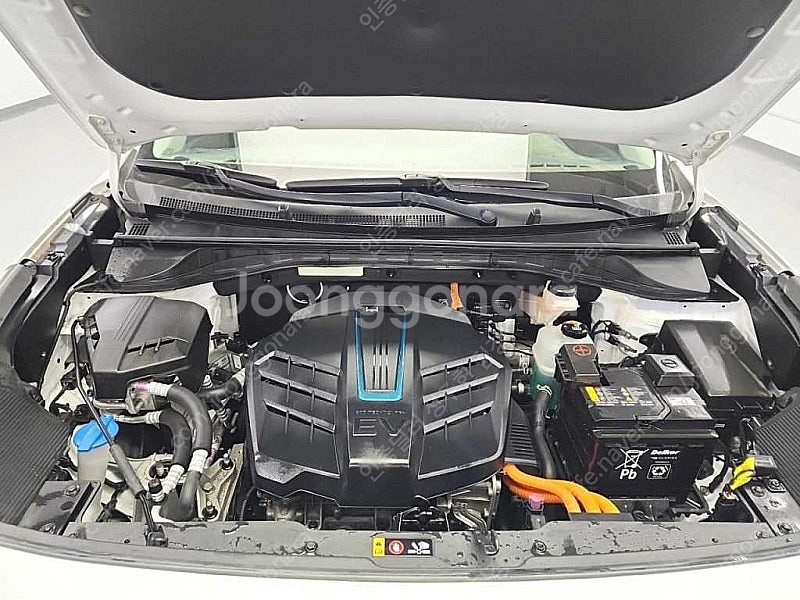 기아 니로 중고 니로 중고차 흰색 2019년식 노블레스...--6