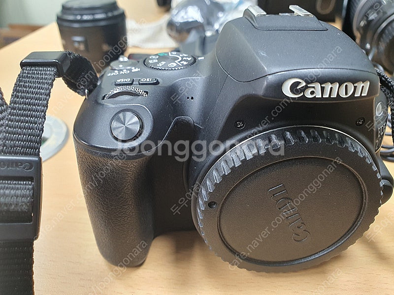 캐논 DSLR 200d 축복이 렌즈, 500mm 단렌즈...--3
