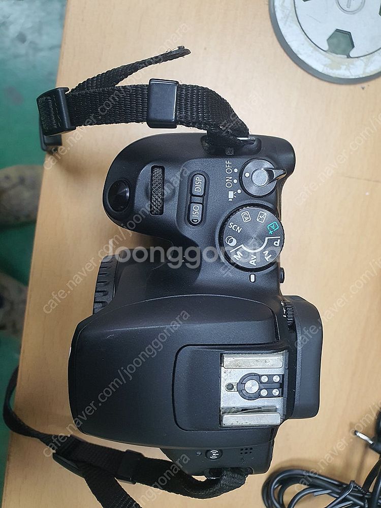 캐논 DSLR 200d 축복이 렌즈, 500mm 단렌즈...--4
