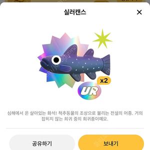 틱톡라이트 낚시 실러캔스 판매