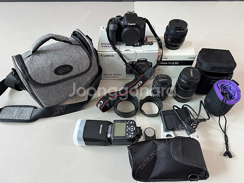 캐논 EOS 800D (아트 삼식이, 망원렌즈,번들렌즈...--0