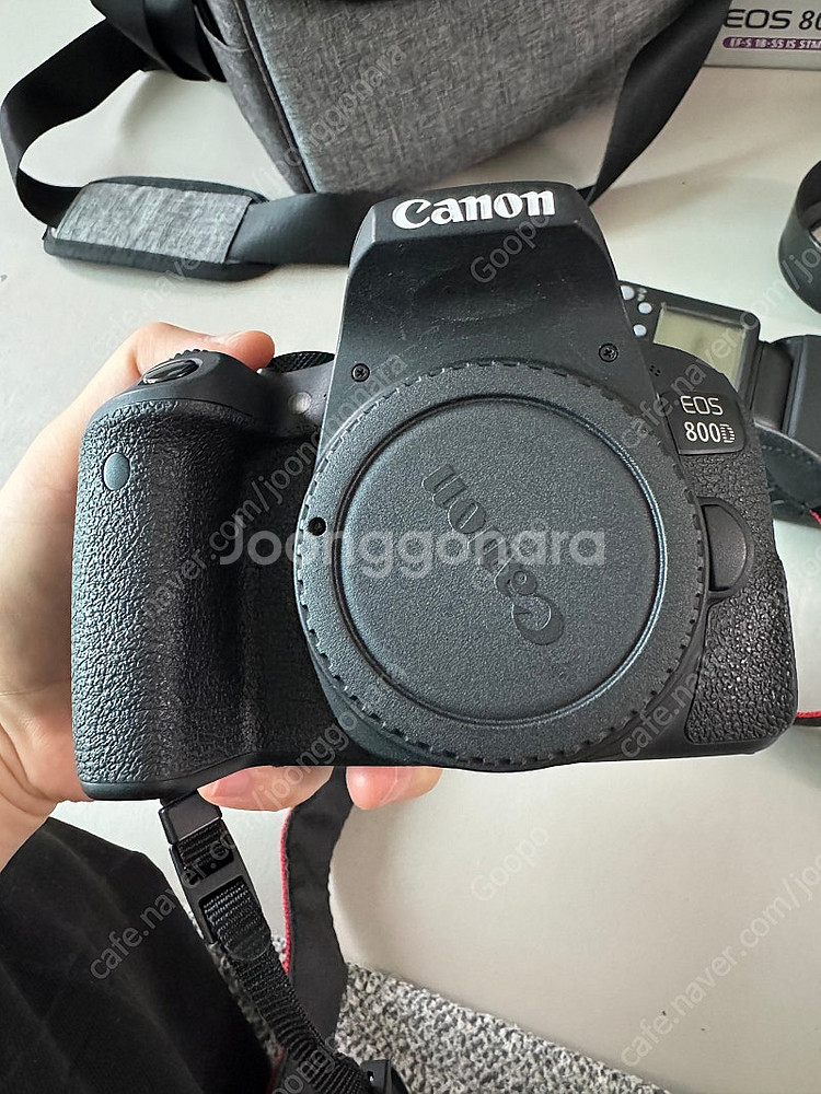 캐논 EOS 800D (아트 삼식이, 망원렌즈,번들렌즈...--1