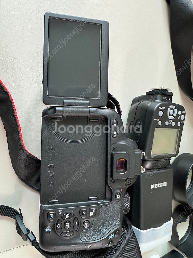 캐논 EOS 800D (아트 삼식이, 망원렌즈,번들렌즈...--2