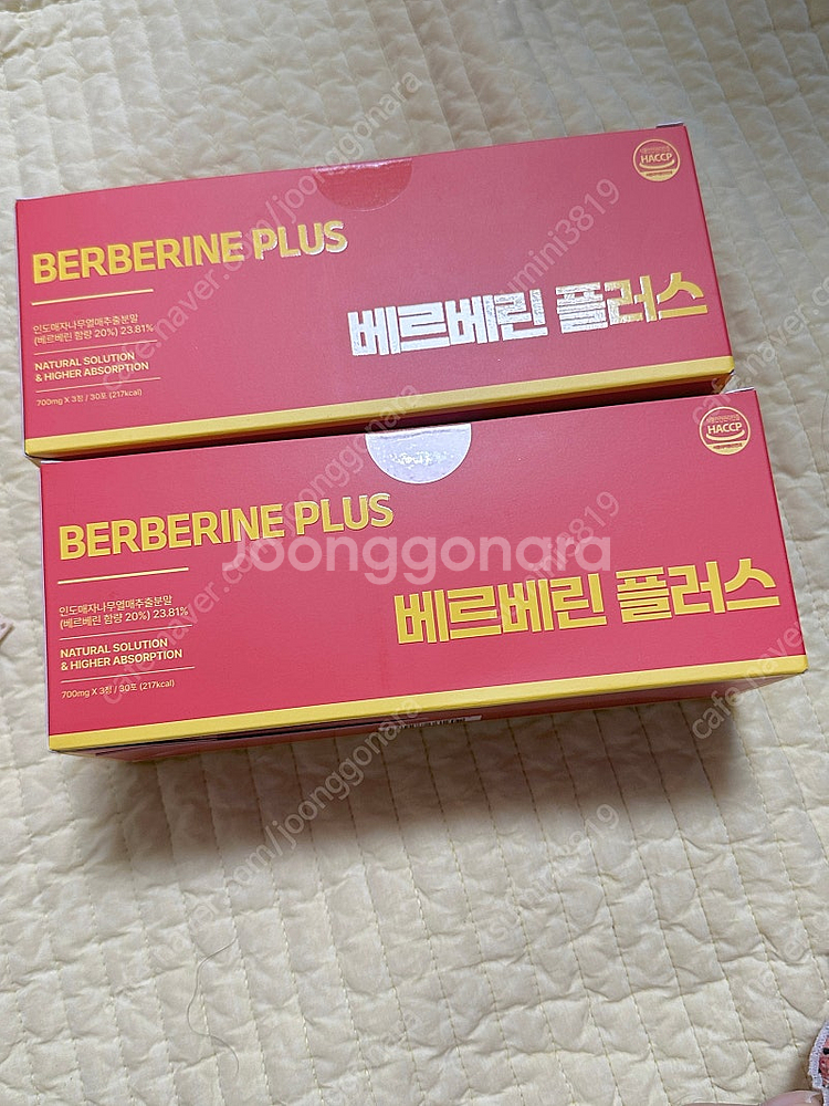 쉬가이아 베르베린 판매해요!--0