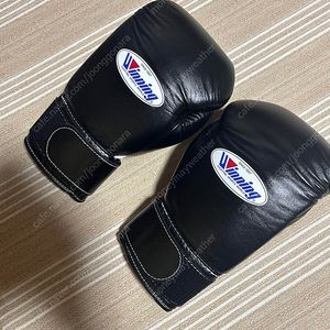 위닝 글러브 10온스