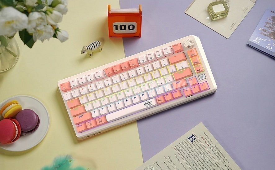 신제품 체리 CHERRY XTRFY PIXIU75 RG...--1