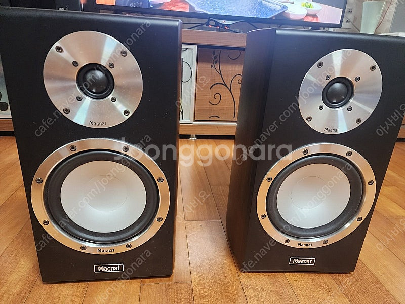 Magnat Quantum 723 북쉘프 스피커 판매합...--1