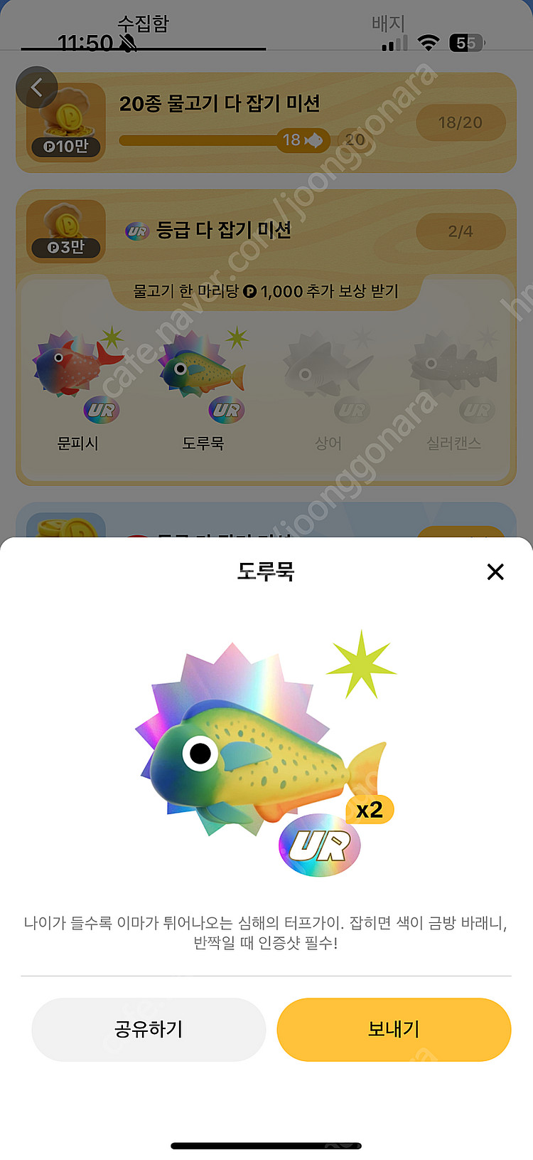 틱톡 물고기 전부 팔아요(도루묵, 개복치, 황새치, 랜...--0