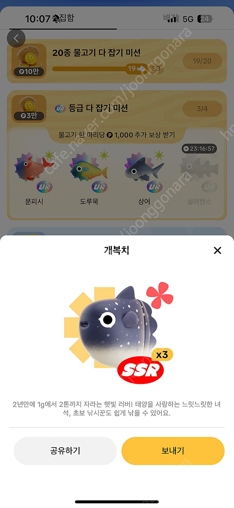 틱톡 물고기 전부 팔아요(도루묵, 개복치, 황새치, 랜...--1