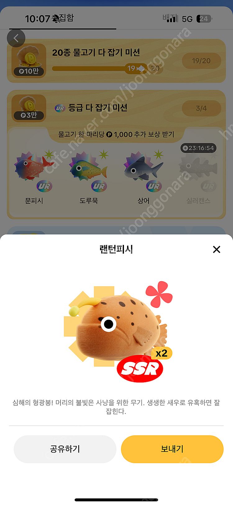 틱톡 물고기 전부 팔아요(도루묵, 개복치, 황새치, 랜...--2