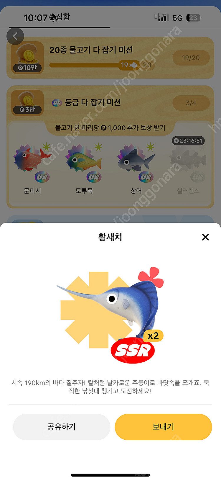 틱톡 물고기 전부 팔아요(도루묵, 개복치, 황새치, 랜...--3