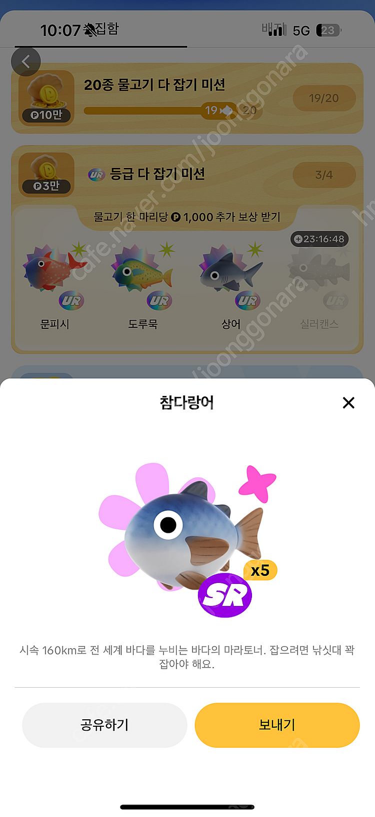 틱톡 물고기 전부 팔아요(도루묵, 개복치, 황새치, 랜...--4