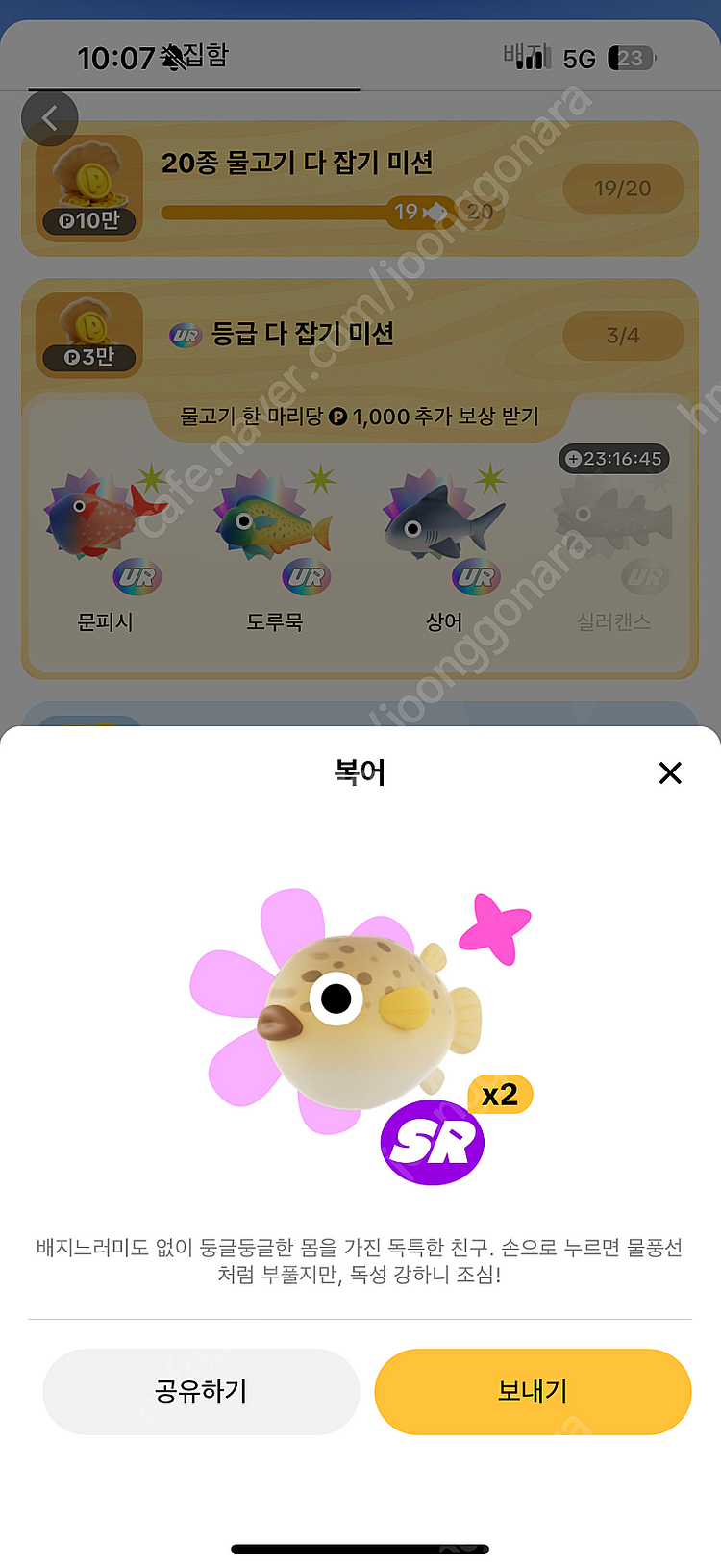 틱톡 물고기 전부 팔아요(도루묵, 개복치, 황새치, 랜...--5