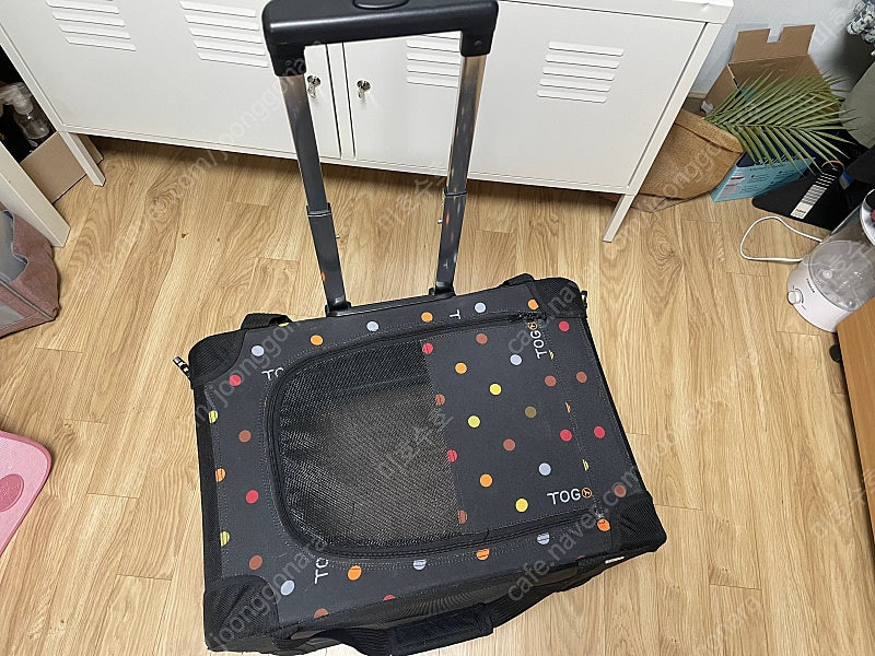 토그핏 고양이 강아지 이동 캐리어 이동장--3