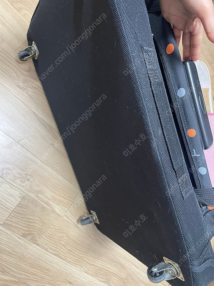 토그핏 고양이 강아지 이동 캐리어 이동장--7