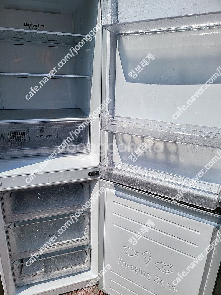 디오스 2도어 300L 샤인 (M301S31) ,엘지 ...--3