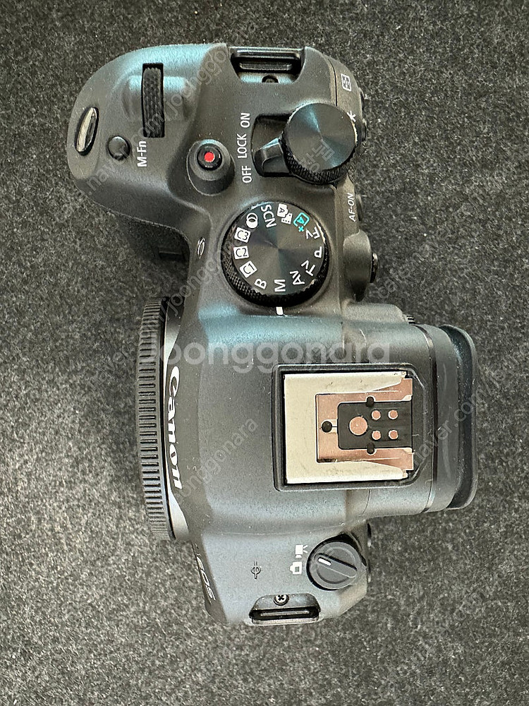 캐논c70 / r6mark2 판매합니다.--5