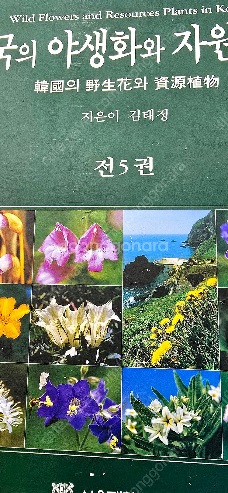 한국의 야생화와 자원식물--0