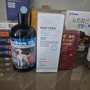 맥시덤 피모영양제 473ml