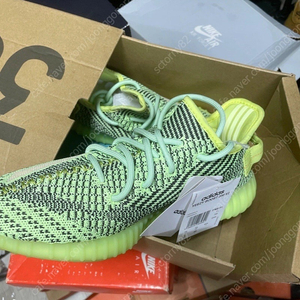 아디다스 이지부스트 신품