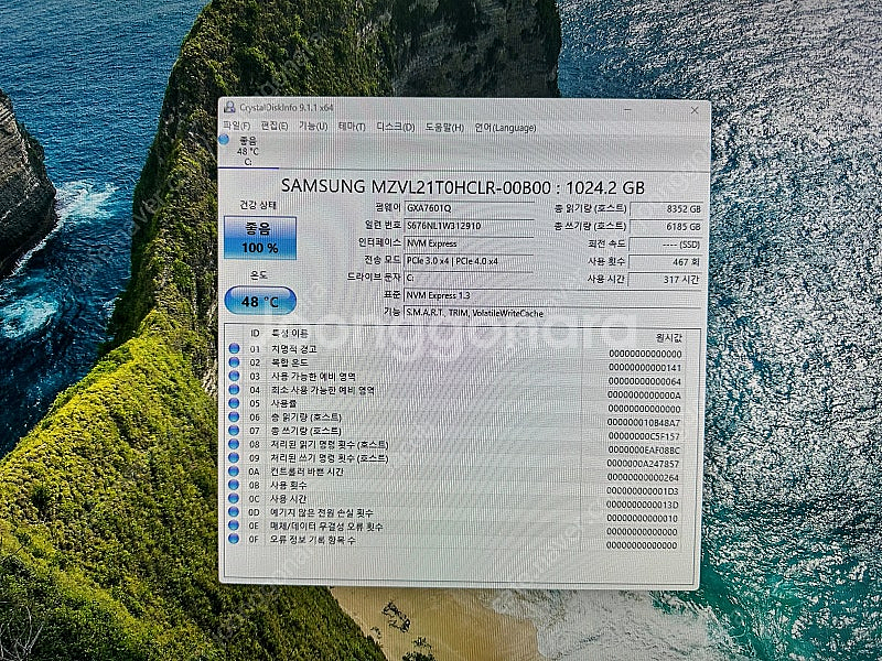 삼성 PM9A1 1TB 팝니다.--2