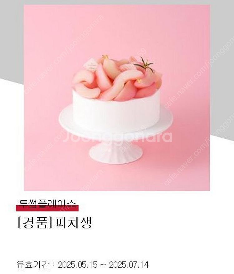 투썸플레이스 케이크 기프티콘--0