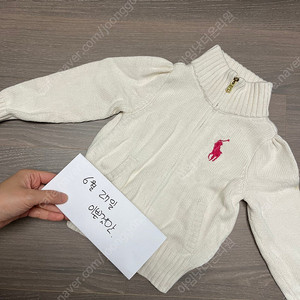 폴로