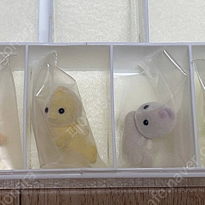 실바니안 올드 레어 오둥이 요정, 조개캐리어 요정 6종 새트 새상품
