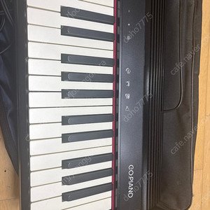 롤랜드 GO:PIANO 디지털