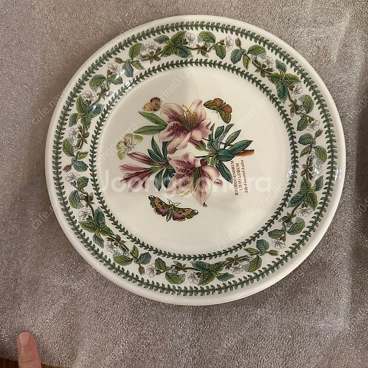 포르메리온 베리에이션 그릇 18.5cm--2
