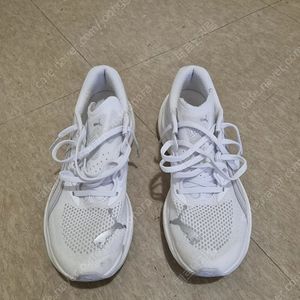 푸마 런닝화 디비에이트 나이트로3 260 판매