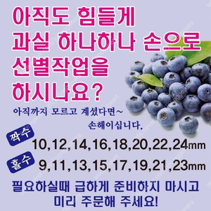 "블루베리 수동선별기" 판매