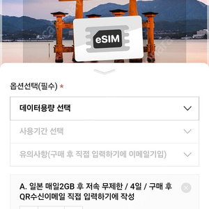 일본 e심 5g 2기가 4일 2개